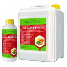 биокомплекс РЕАСИЛ ФОРТЕ Carb-Ca/Mg/B-Amino 100мл биокомплекс РЕАСИЛ ФОРТЕ Carb-Ca/Mg/B-Amino 100мл
